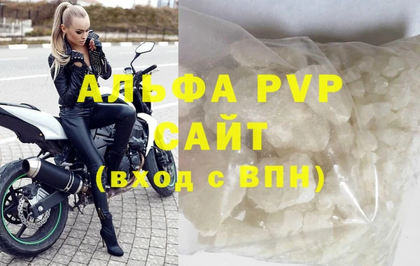 PSILOCYBIN Кукмор